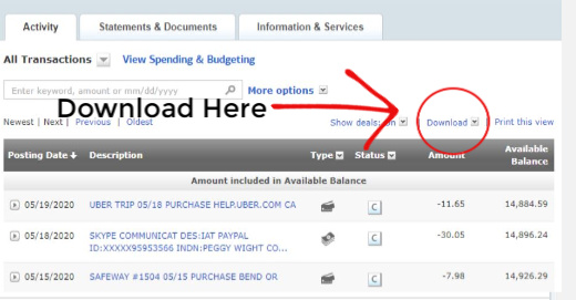 bank of america transaction statement fake